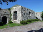 P1020134.JPG
