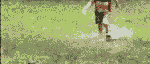 795-16.gif