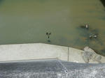 P1020400.JPG