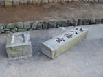 P1020521.JPG