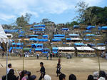 P1020467.JPG