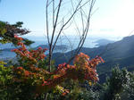 P1020546.JPG