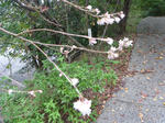 P1020615.JPG