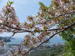 P1010843.JPG
