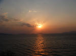 P1030028.JPG