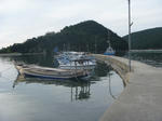 P1050007.JPG