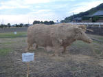 P1050391.JPG
