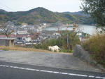 P1050659.JPG