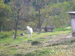 P1050674.JPG