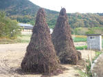 P1050652.JPG