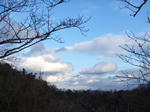 P1060441.JPG