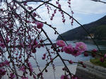 P1060709.JPG