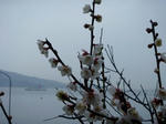 P1060750.JPG
