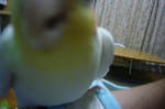 P1050197.JPG