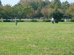 P1050405.JPG