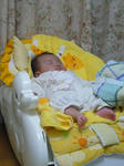 P1060201.JPG