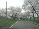 DSCN6583.jpg