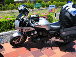 IMG_1841.JPG