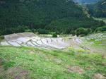 IMG_1871.JPG