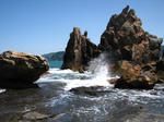 IMG_1884.JPG