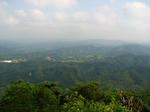 IMG_2598.JPG