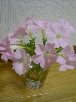 P1010103.JPG
