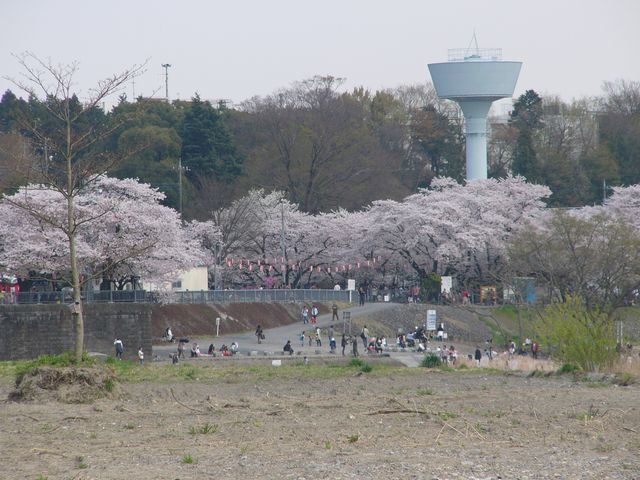羽村の堰
