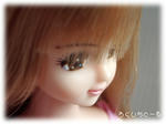 20080206-3.jpg