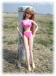 20080326-4.jpg