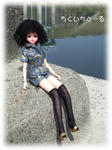 20080330-3.jpg