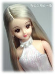 20080406-2.jpg