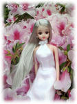20080505-2.jpg