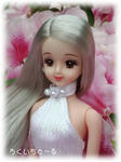 20080505-4.jpg