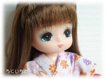20080606-15.jpg