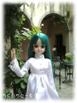 20080710-2.jpg