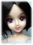 20081113-4.jpg