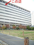 20081116-6.JPG
