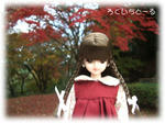 20081125-1.jpg