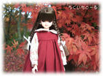 20081125-3.jpg