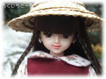 20081125-6.jpg