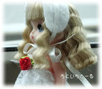 20081218-6.jpg