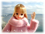 20081229-1.jpg