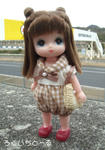 20090311-3.jpg