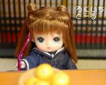 20090405-6.jpg