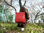 20090408-1.jpg