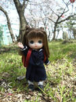 20090408-3.jpg