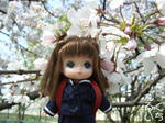 20090408-4.jpg