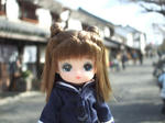 20090524-1.jpg