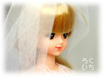 20090613-2.jpg