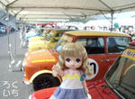 20090617-1.jpg